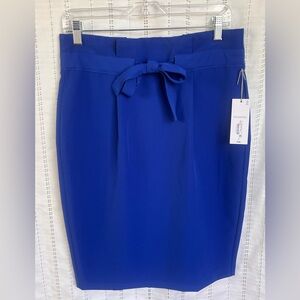 Liz Claiborne NWT Elegant Blue Women's Skirt Size 6